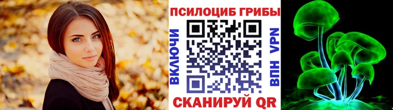 Галлюциногенные грибы MAGIC MUSHROOMS  купить наркотик  Абакан 