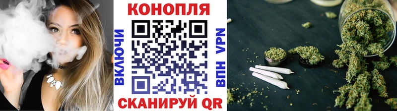 Бошки Шишки план  Абакан 